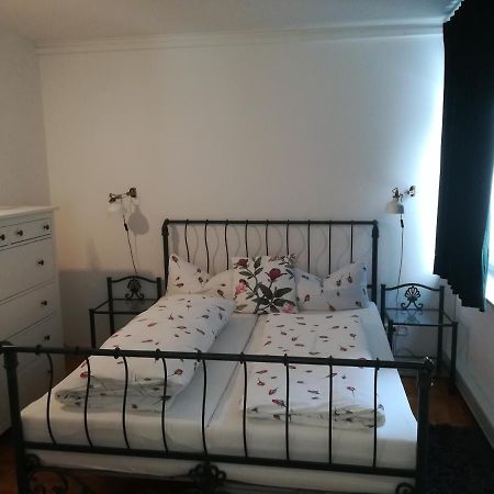 Apartment Froschkoenig Gladenbach Bagian luar foto