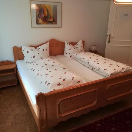 Apartment Froschkoenig Gladenbach Bagian luar foto